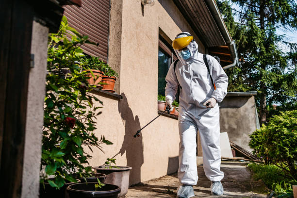 Best Wasp Removal Services  in Lumber City, GA