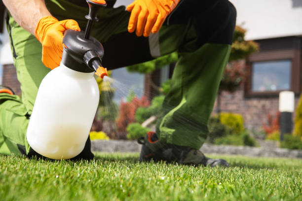 Best Flea Control Services  in Lumber City, GA