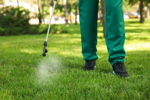 Best Wildlife Control Services  in Lumber City, GA