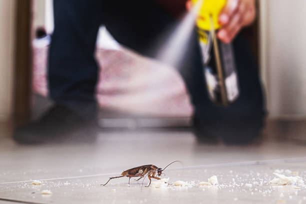 Best Cockroach Control Services  in Lumber City, GA