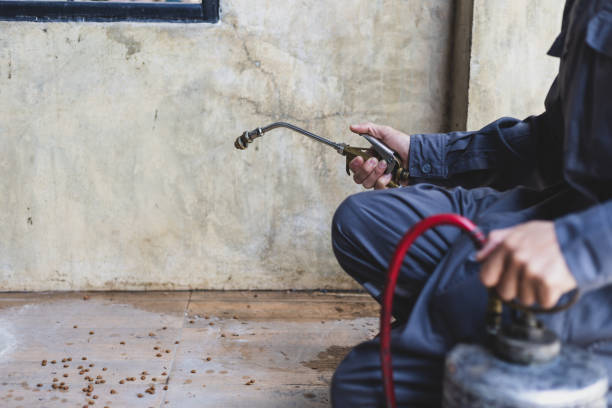 Best Best Pest Control Companies  in Lumber City, GA